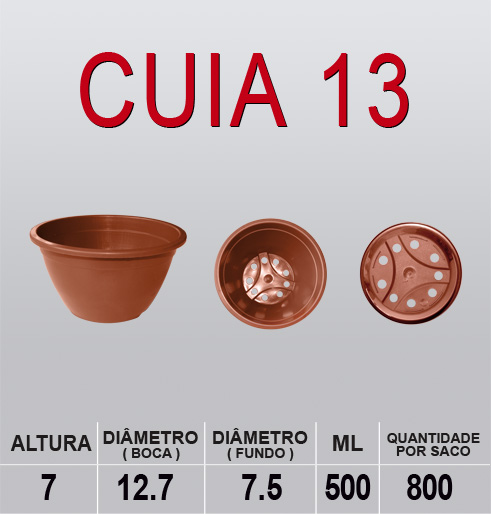 CUIA 13