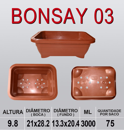 BONSAY 03