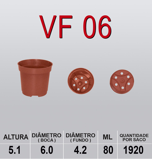 VF 06