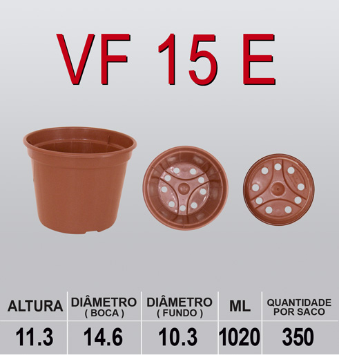 VF 15 E