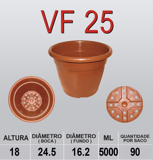 VF 25
