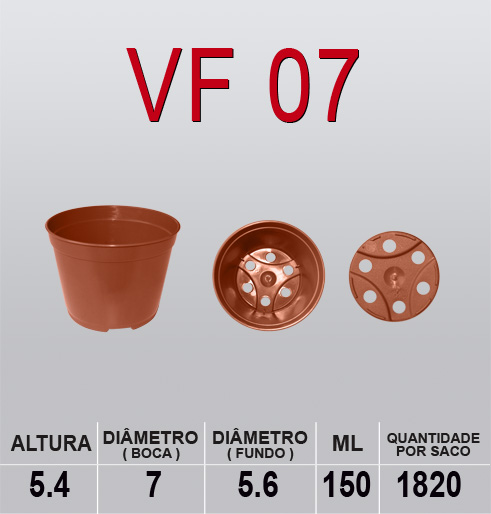 VF 07