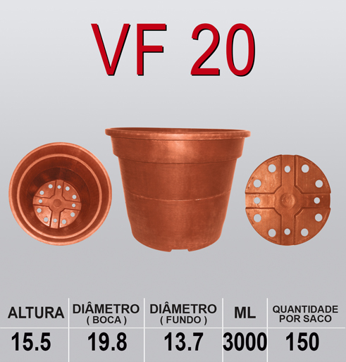 VF 20