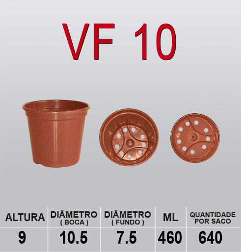 VF 10